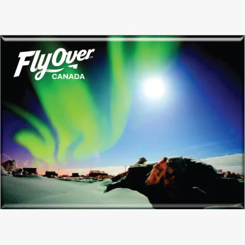 Aimant souvenir en métal (2"x3") Impression numérique en couleur pleine