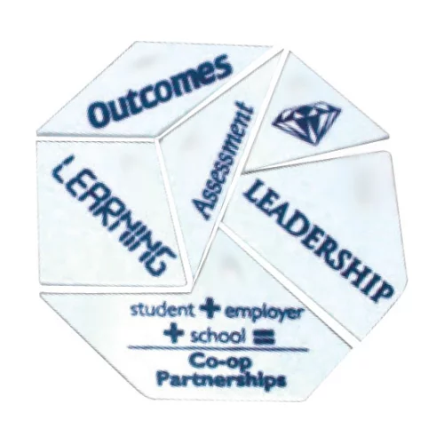 6 Piece Octagon Softee Plastic Puzzle