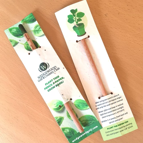 Crayon Sprout avec papier de graines de basilic double face.