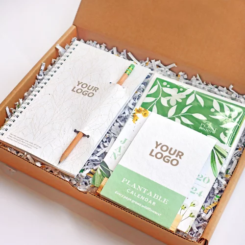 Kit cadeau plantable pour un espace de travail florissant
