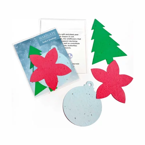 Pack de formes en papier ensemencé double face pour les fêtes