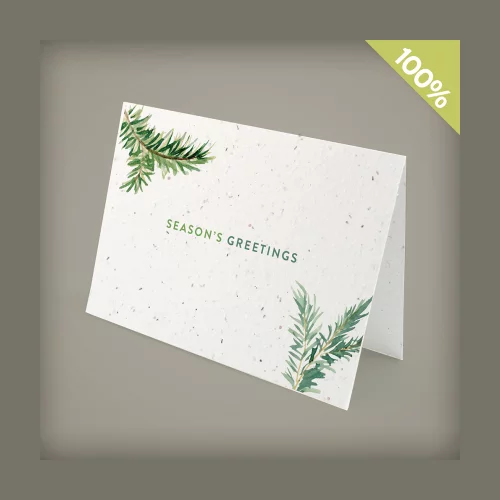 Evergreen Greetings Business Holiday Cards