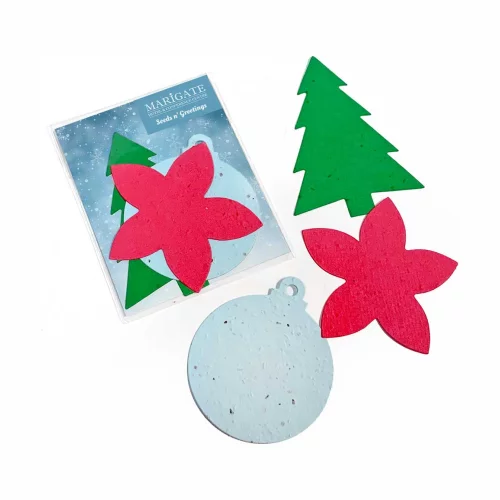 Pack de formes en papier ensemencé pour les vacances à une face