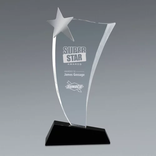 Prix en cristal Silver Star (11")