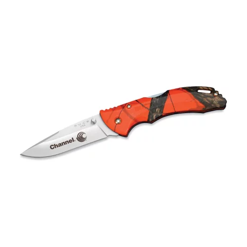 Buck® Bantam™ Blw Lockback Knife