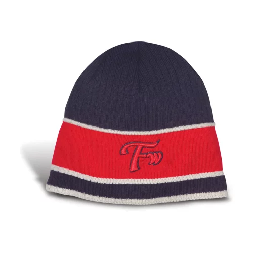 Levi Beanie w/3 Contrasting Stripes & Microfleece Lining