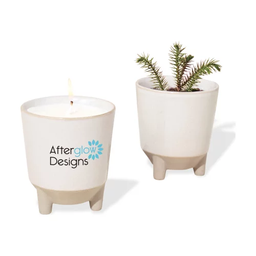 Ensemble-cadeau Modern Sprout® Glow & Grow Live Well - Bleu glacial : Forêt givrée avec graines d'épinette