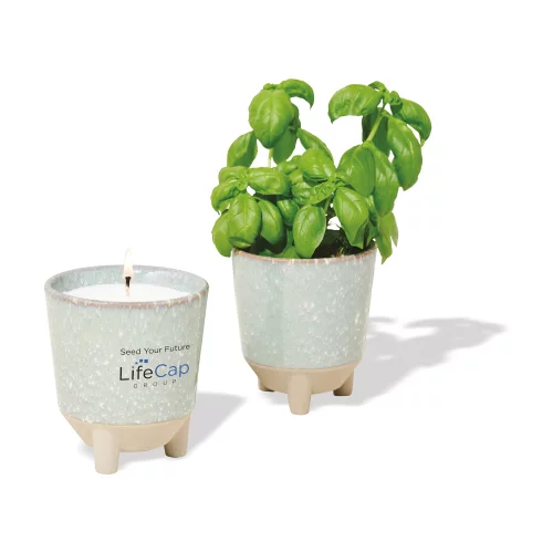 Ensemble-cadeau Modern Sprout® Glow & Grow Live Well - Bleu Vert : Jardin d'herbes avec graines de basilic