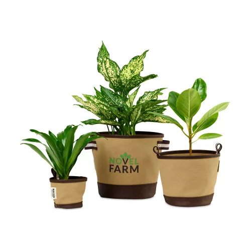 Heritage Supply™ Trio de pots Plant, Grow and Store - Dune