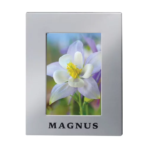 4" x 6" Aluminum finish picture frame (3-5 Days)