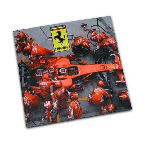 Teinture de chamois pour voiture