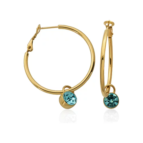 CJ Steelx IP Gold Stainless Steel Hoop Earring with Swarovski Crystal Charm