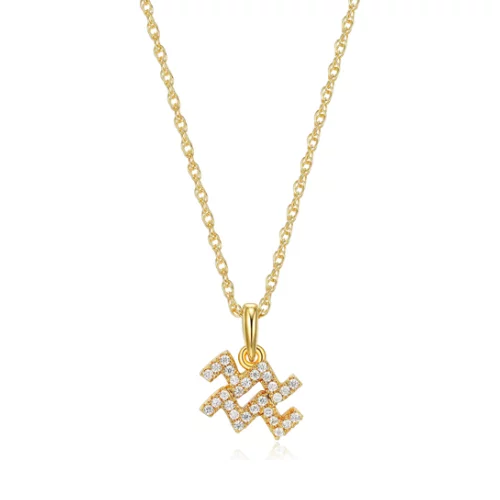 Diamondlite Cubic Zirconia Aquarius Zodiac Rope Necklace - Gold