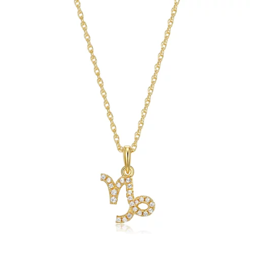 Diamondlite Cubic Zirconia Capricorn Zodiac Rope Necklace - Gold