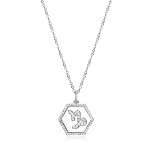 Diamondlite Zodiac collection "Capricorn" Necklace - Silver
