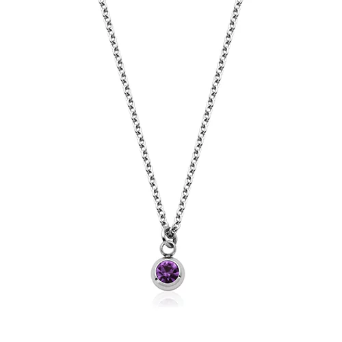 CJ Steelx Carded "February" Amethyst Crystal Necklace - Silver