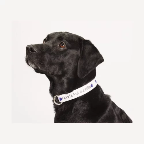 Collier pour animal de compagnie réglable de 1 pouce de largeur en couleur pleine