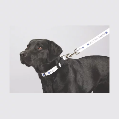 Laisse pour animal de compagnie premium de 1 pouce de largeur en couleur pleine