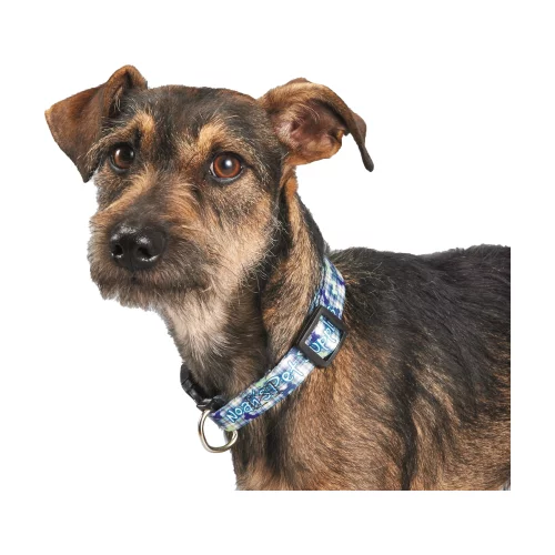 Collier pour animal de compagnie de 3/4" de largeur en couleur pleine