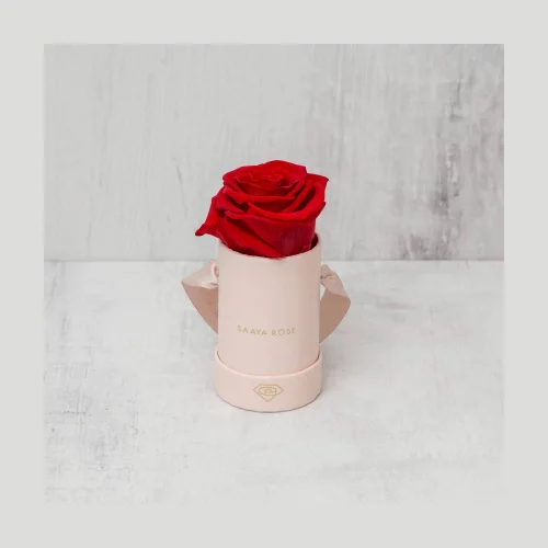 Rose unique réelle - Roses préservées qui durent 365 + jours