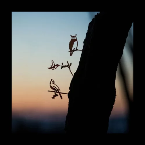 Baby Bird Bundle - Rust