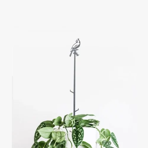 Cardinal Plant Stake - 40 inch - Rust