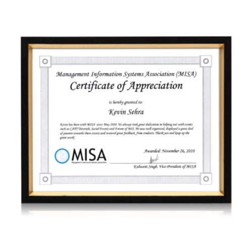 Cadre de certificat Gilda - Noir/Or 8½"x11"