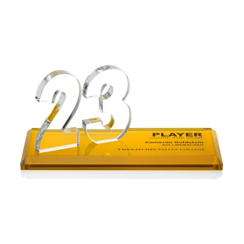 Northam Milestone 2 Digit - Amber