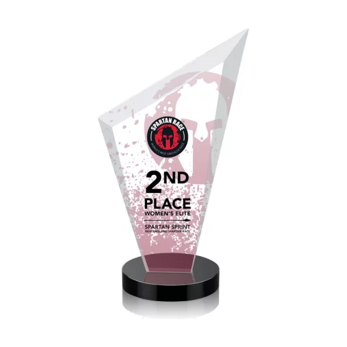 VividPrint™ Award - Condor/Black 8½"