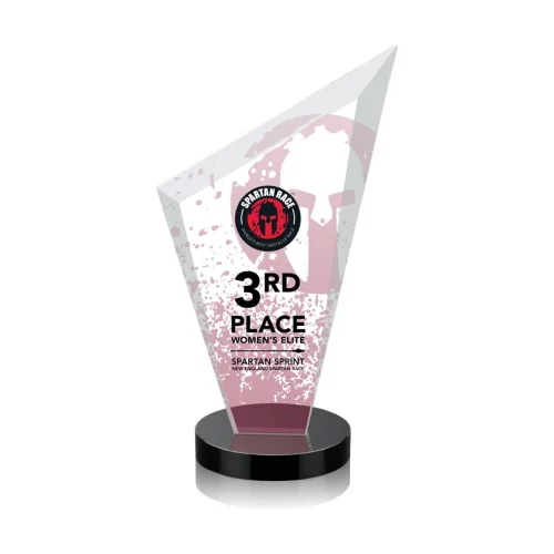 VividPrint™ Award - Condor/Black 10"