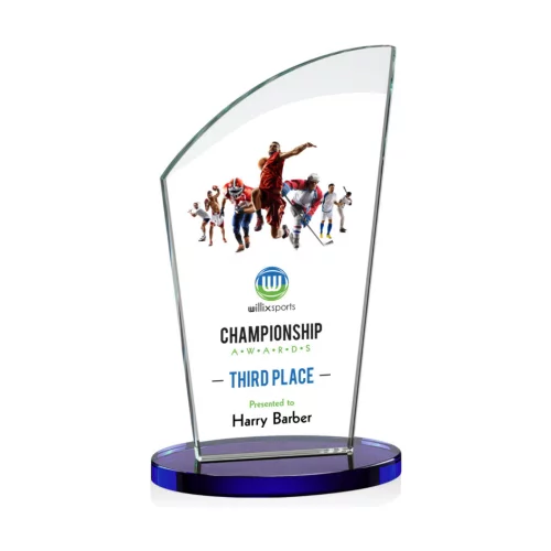 VividPrint™ Award - Tomkins/Blue 6"