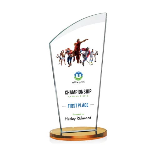 VividPrint™ Award - Tomkins/Amber 10"