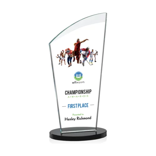 VividPrint™ Award - Tomkins/Black 10"