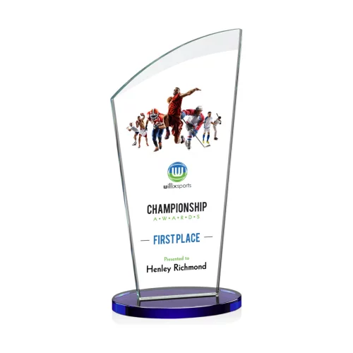 VividPrint™ Award - Tomkins/Blue 10"