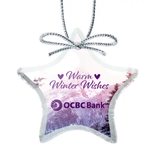 VividPrint™ Ornament - Jade Star