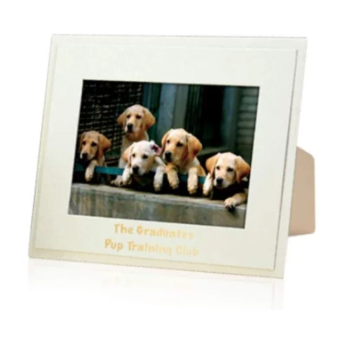 Grove Chipboard Frame - 4"x6" White-on-White