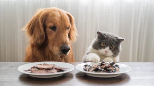 Quand c’est bon pour pitou, c’est bon pour minou?