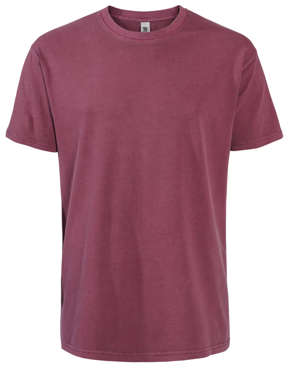 Initial Unisex Garment dyed crewneck t-shirt