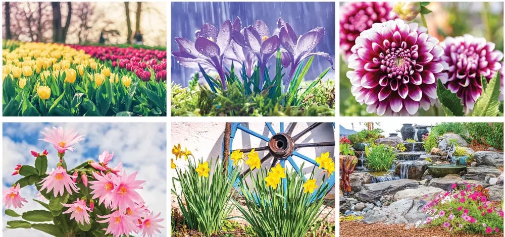 Calendrier mural en spirale Splendeur du jardin en couleur complète
