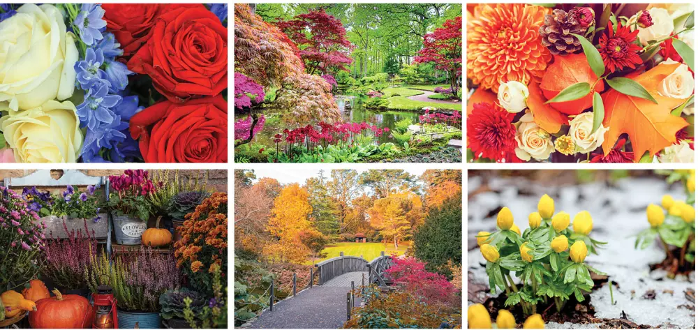 Calendrier mural en spirale Garden Splendor