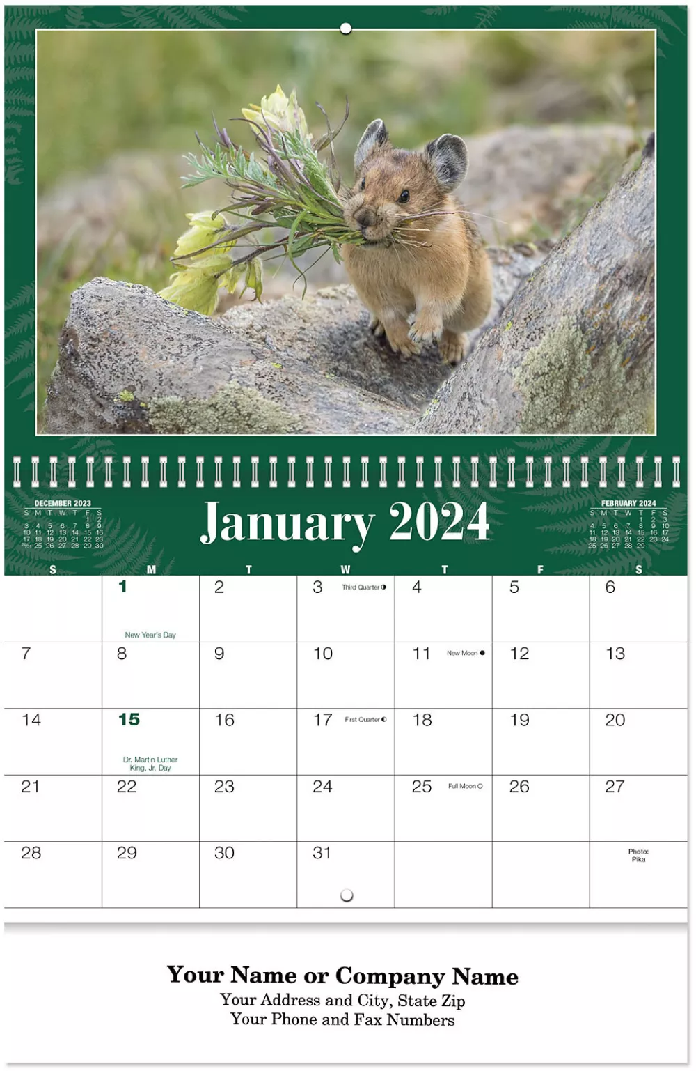 Calendrier mural en spirale sur la faune nord-américaine