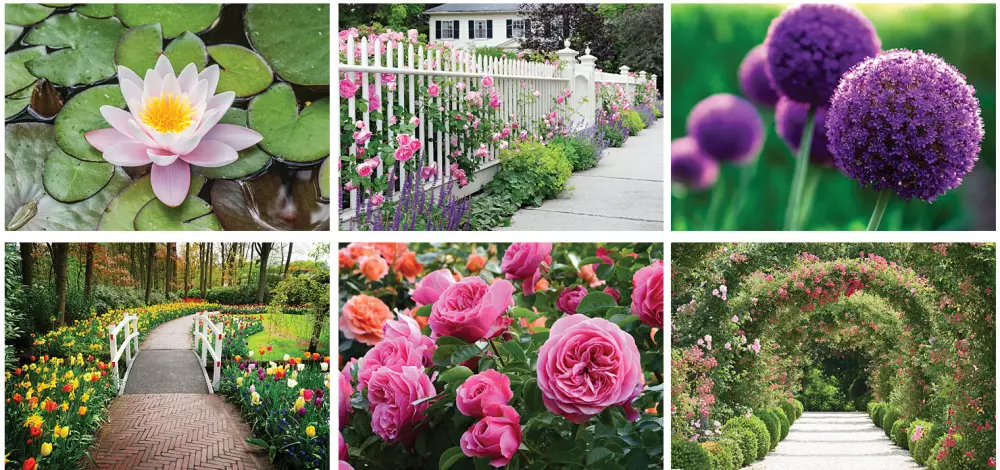 Calendrier de bureau Splendeur du jardin en couleur complète