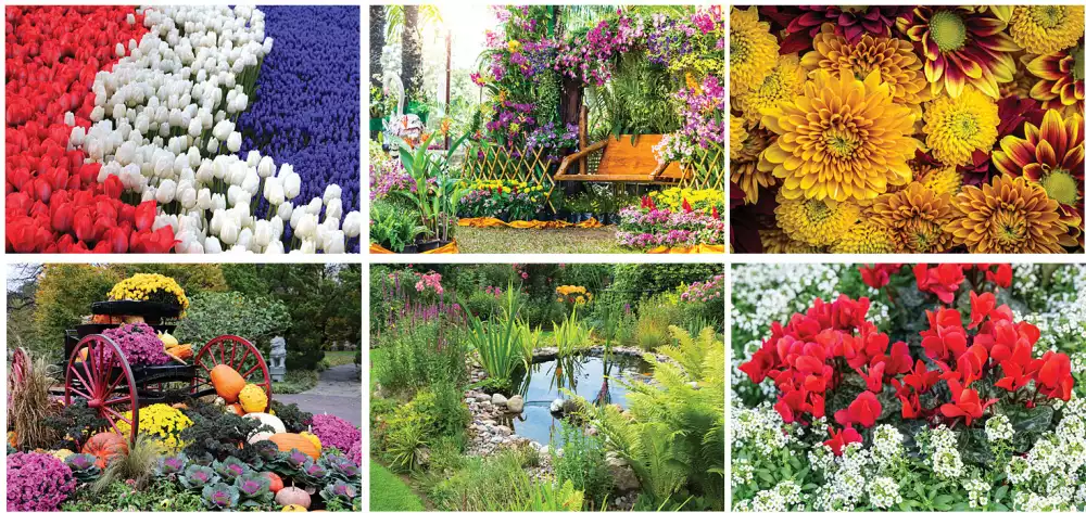 Calendrier de bureau Splendeur du jardin en couleur complète