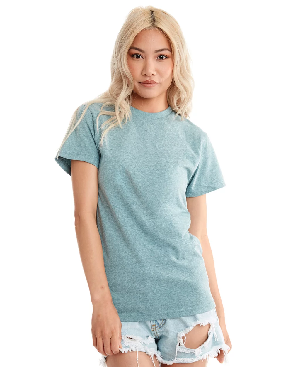 T-shirt unisexe en coton biologique de poids lourd de NEXT LEVEL APPAREL