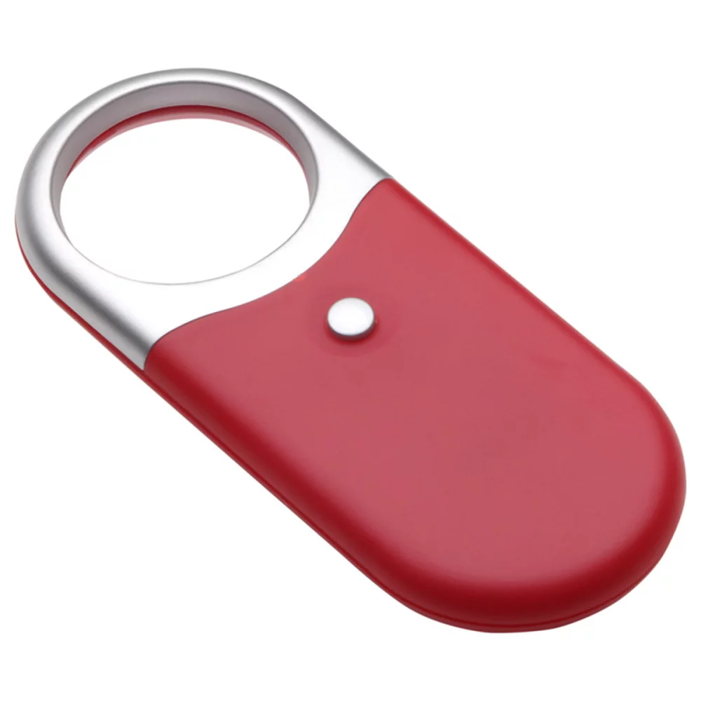 Compact Magnifier Light