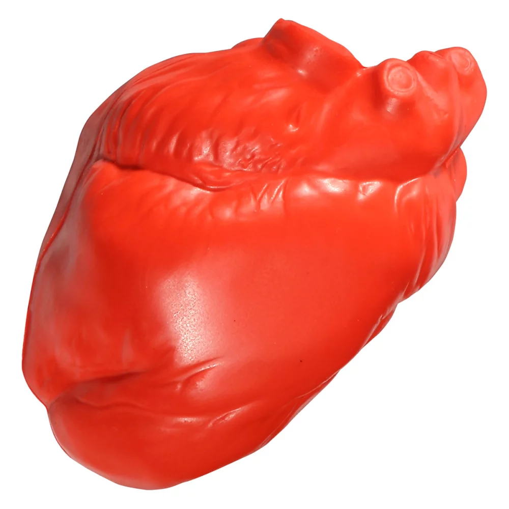Soulagement du stress sans veines cardiaques
