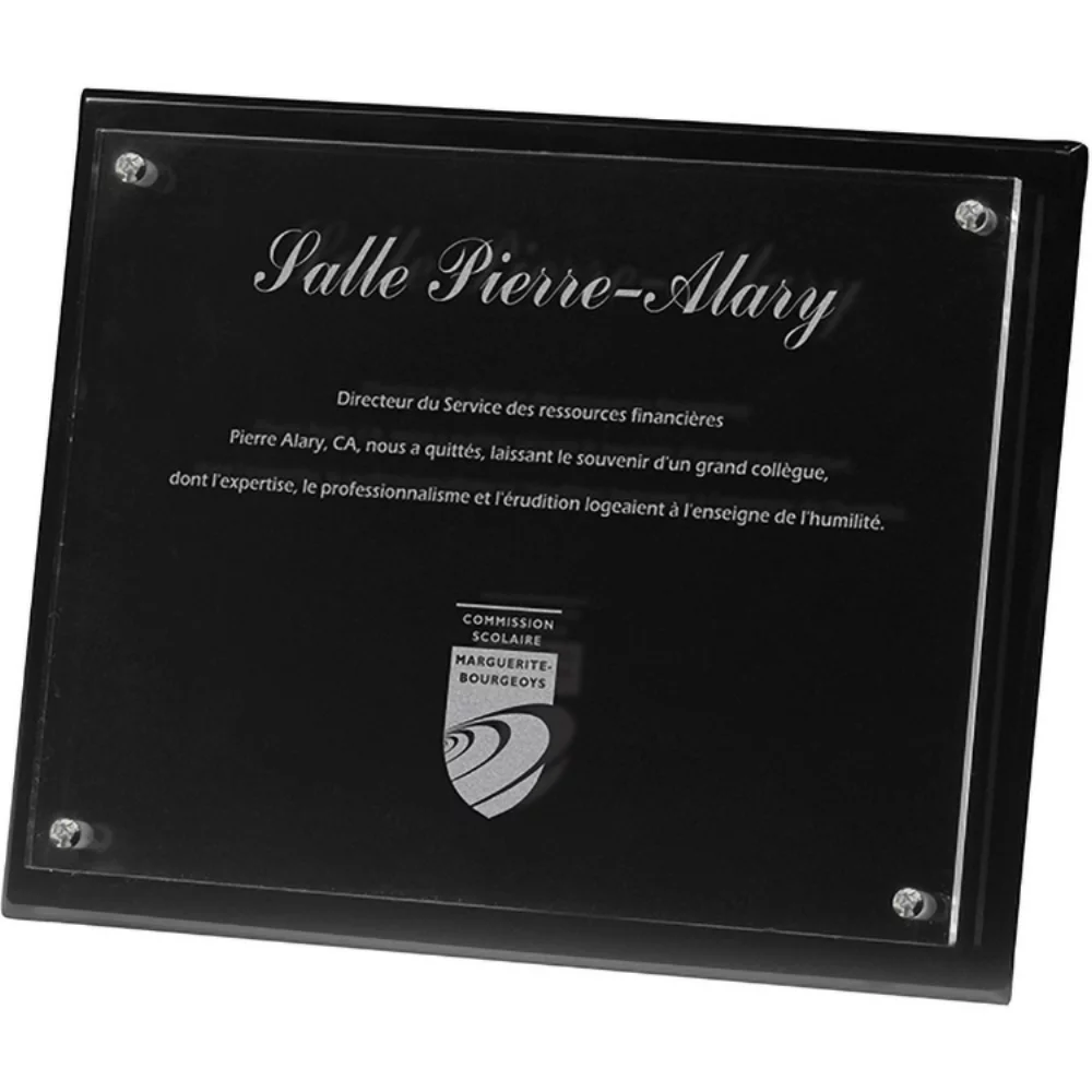 Plaque radiante noire à 2 panneaux (8" x 10" x 3/8") gravée au laser.