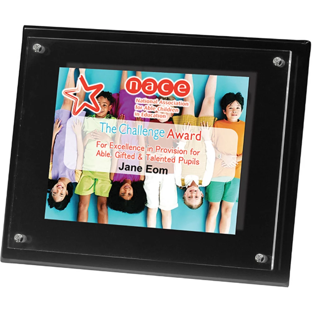 Plaque radiante noire à 2 panneaux (8" x 10" x 3/8") (PhotoImage)