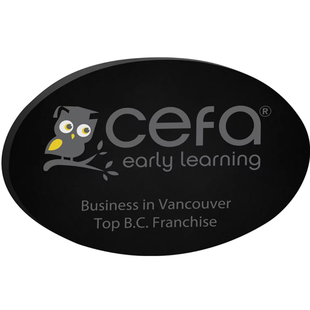 Black Oval Paper Weight (4"x 2 1/2"x 3/8") Screen-printed