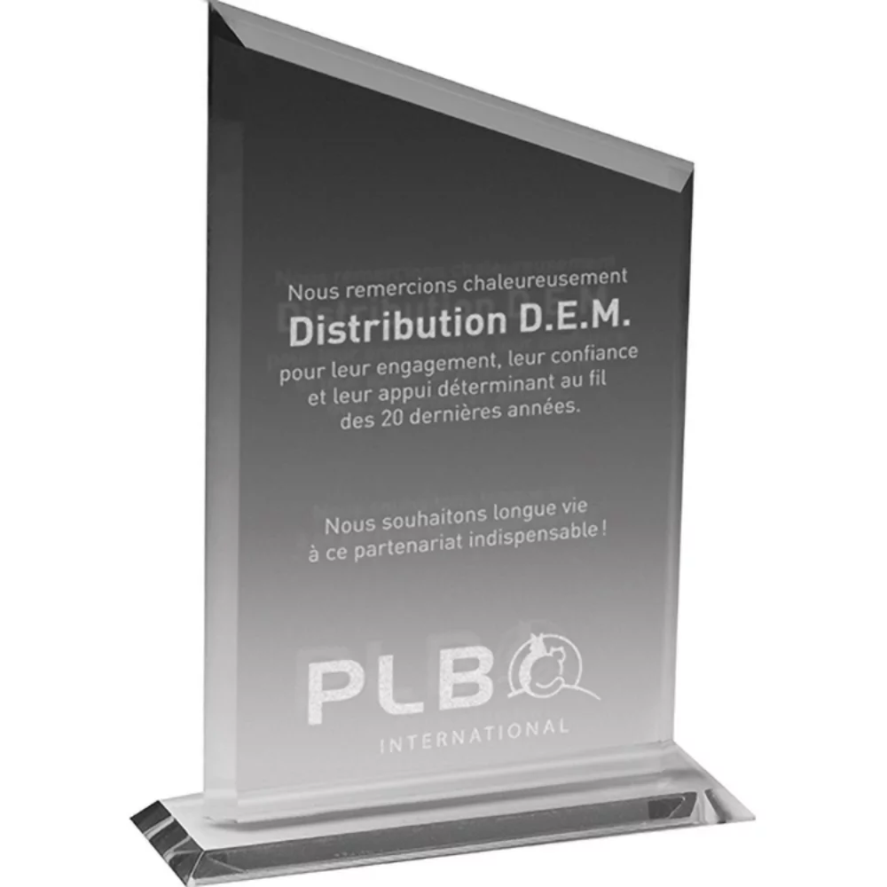 Prix de déclaration en acrylique transparent (5 3/4" x 8 1/2" x 3/8") Gravure laser